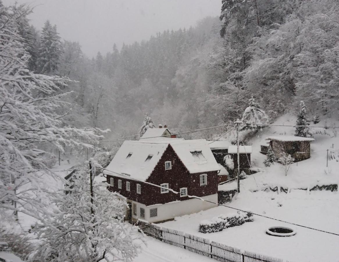 Ferienhaus Bildhauer Thiele Ottendorf  Kültér fotó
